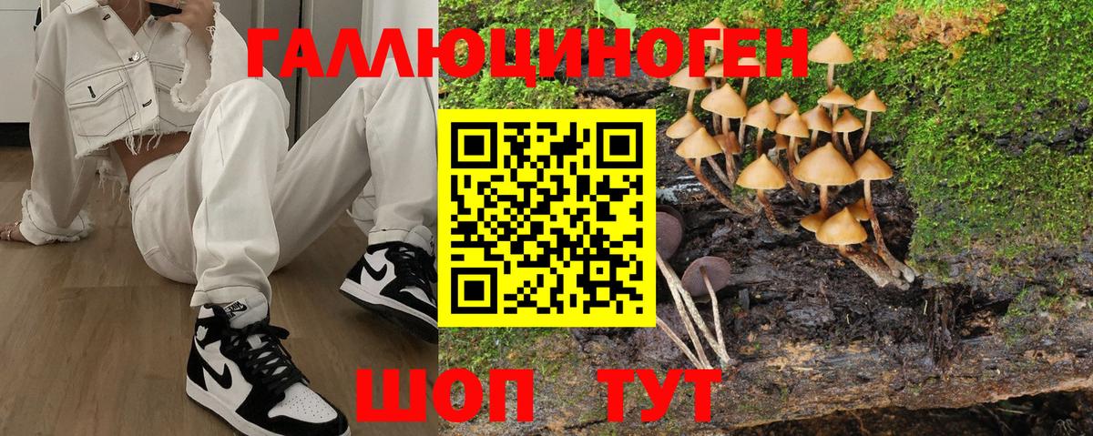 Галлюциногенные грибы ЛСД Шадринск