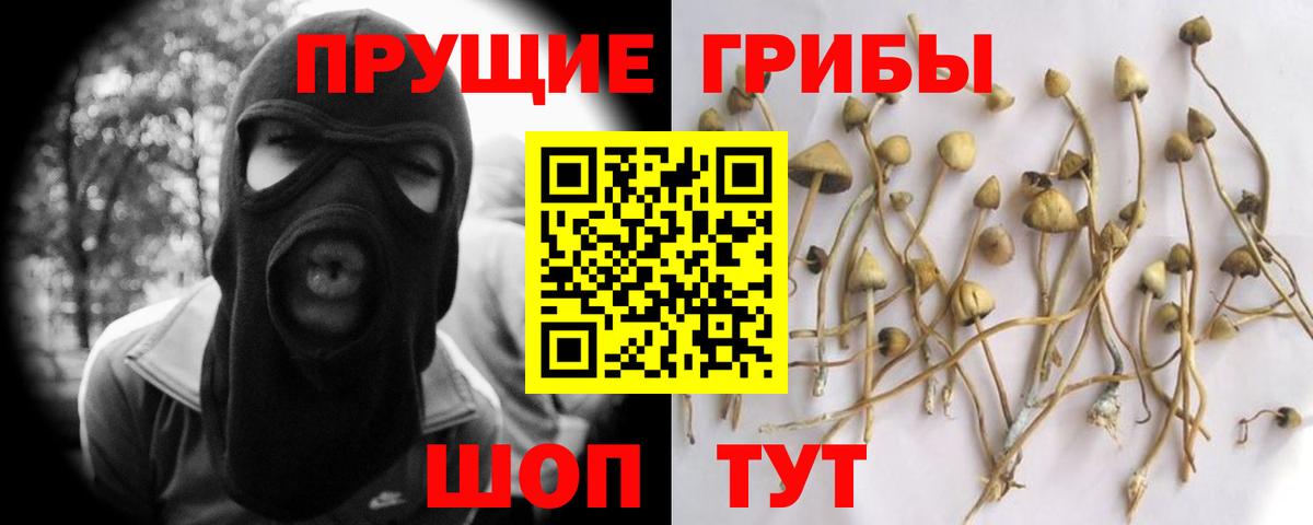Галлюциногенные грибы прущие грибы  Вход с VPN  Шадринск  Псилоцибиновые грибы Psilocybine cubensis 